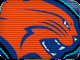 charlotte bobcats