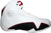 Air Jordan XXI