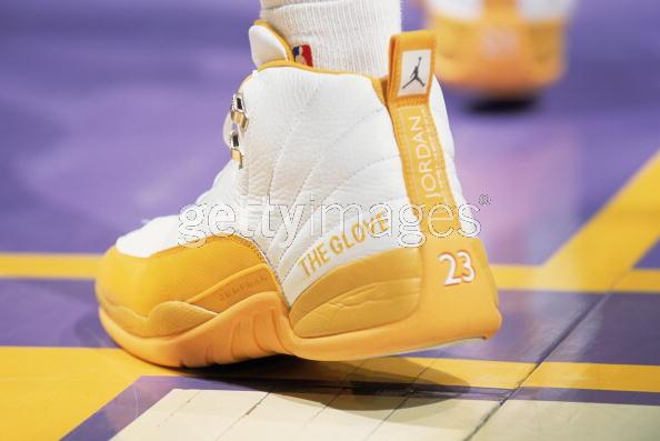 air jordan 12 air the glove