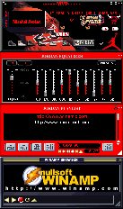 skorki skiny skins winamp michael jordan